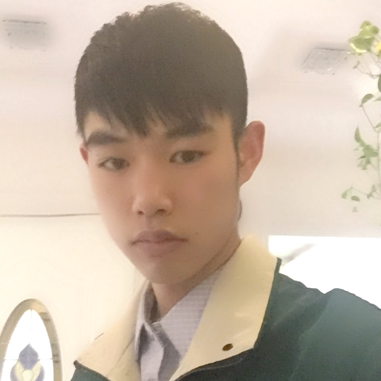 大雁故意的照片