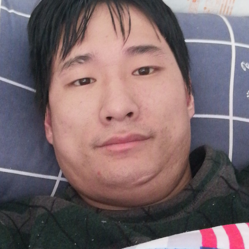 简单爱小海豚的照片