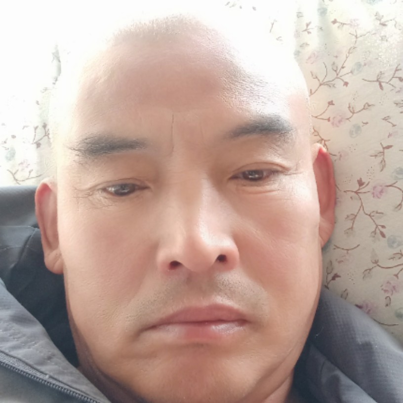 祥云龙的照片