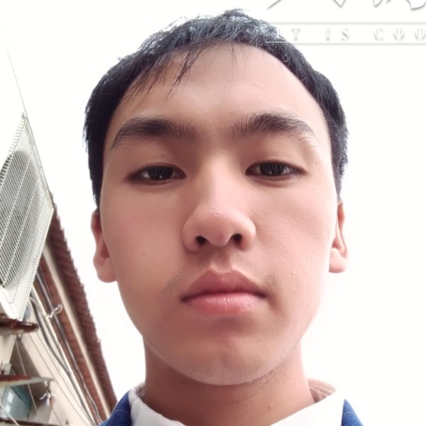 虚心铅笔的照片