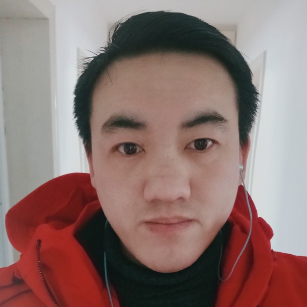 昏睡的枫叶的照片
