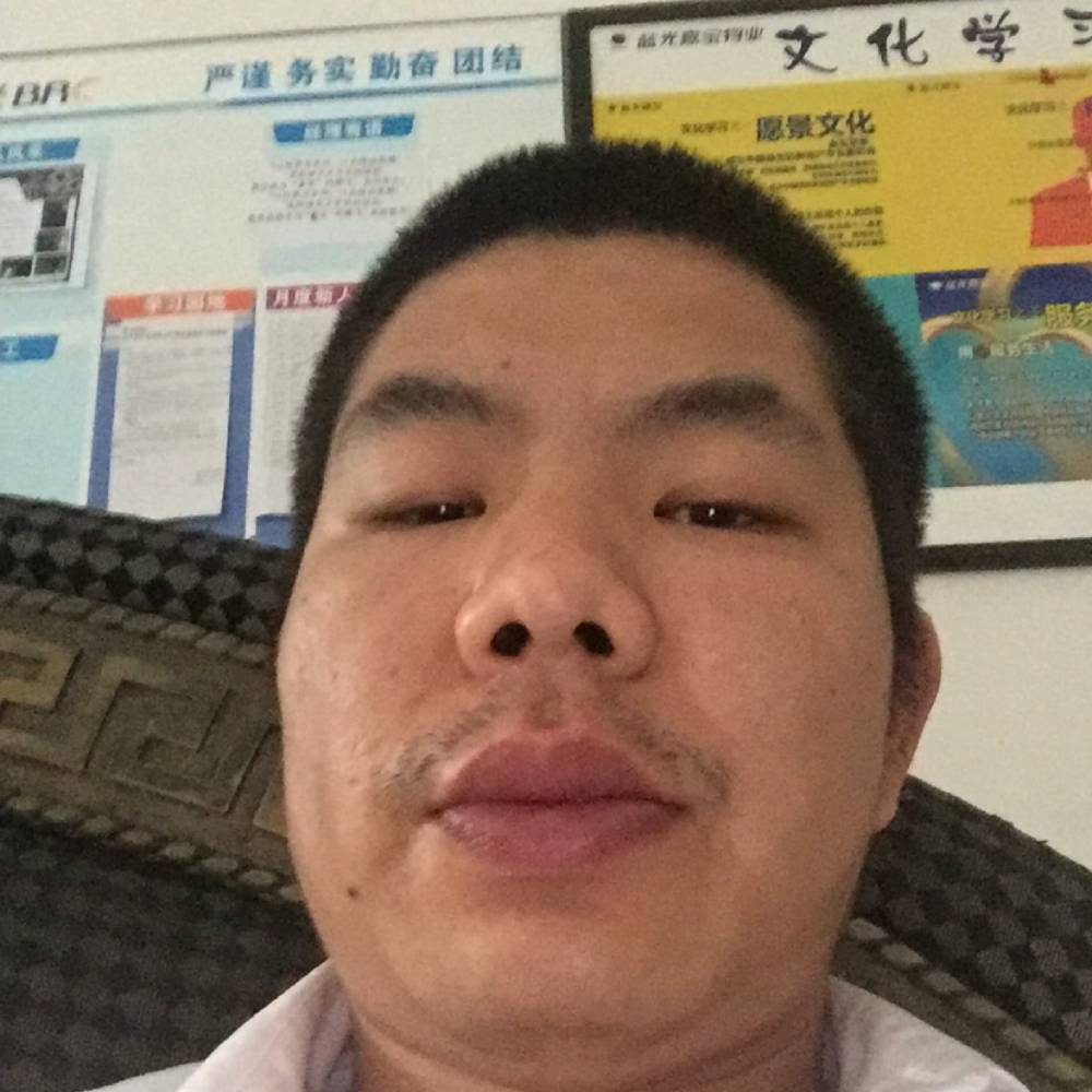 热情等待小熊猫的照片