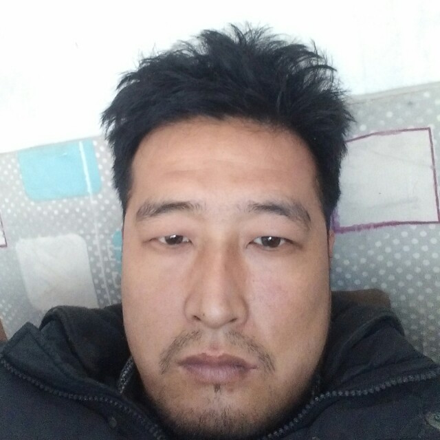 枫叶d的照片