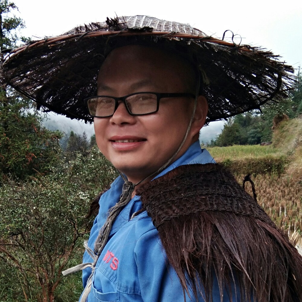 小猫咪儒雅的照片