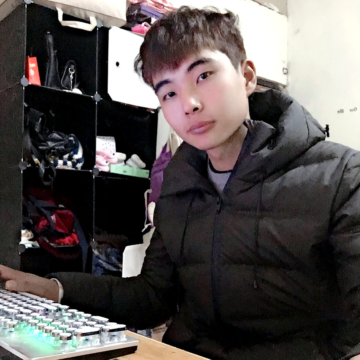 芒果停止淡淡的照片