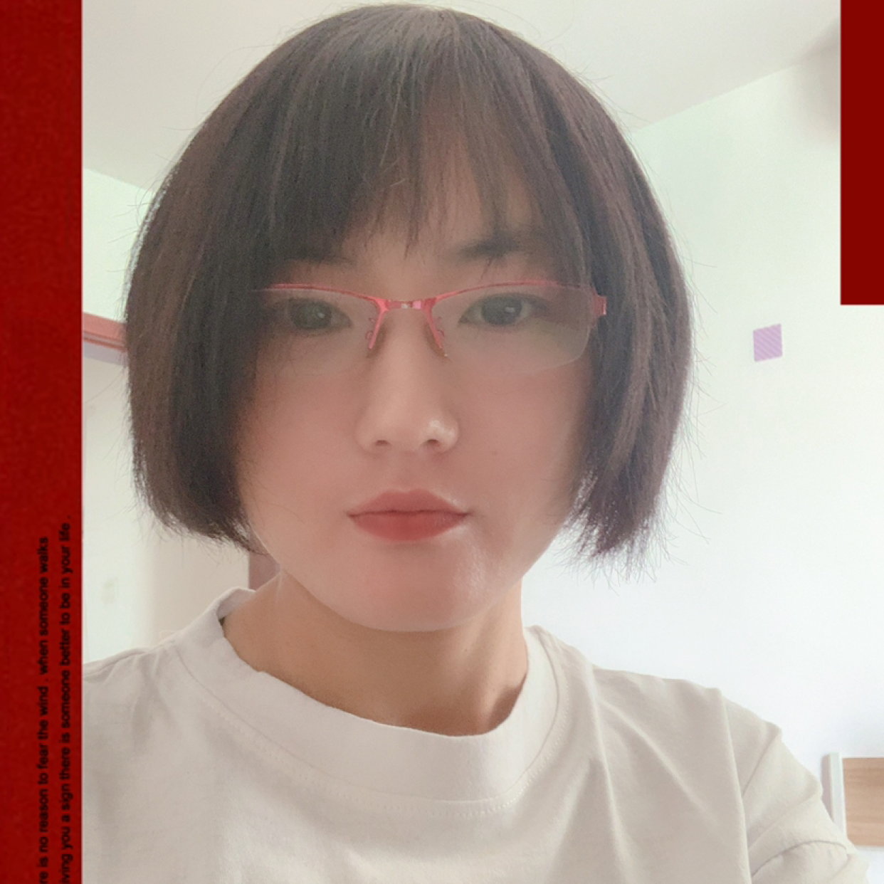 小猫的照片