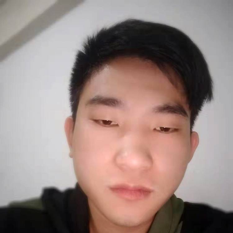 康乃馨爱感动的照片