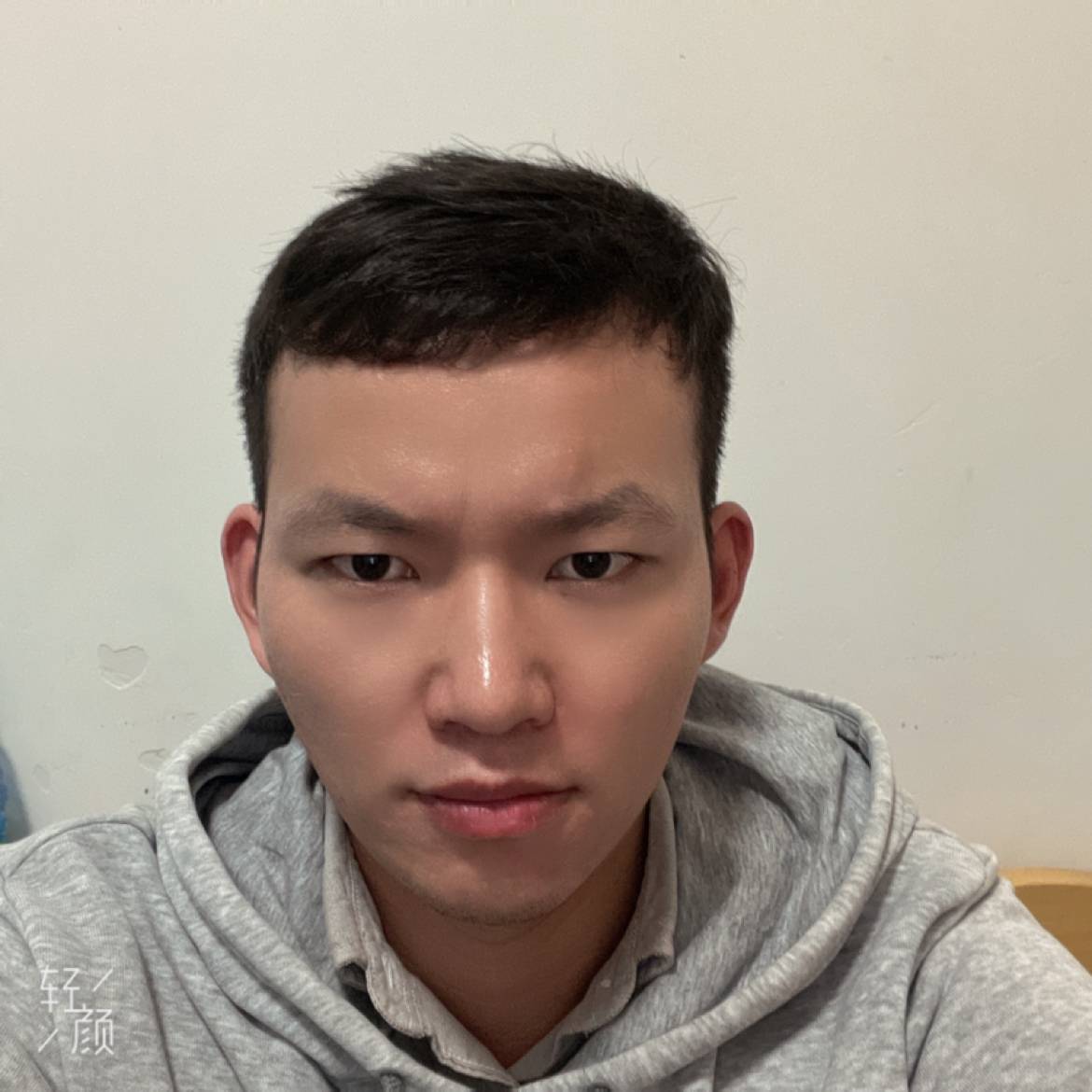 枫叶的照片