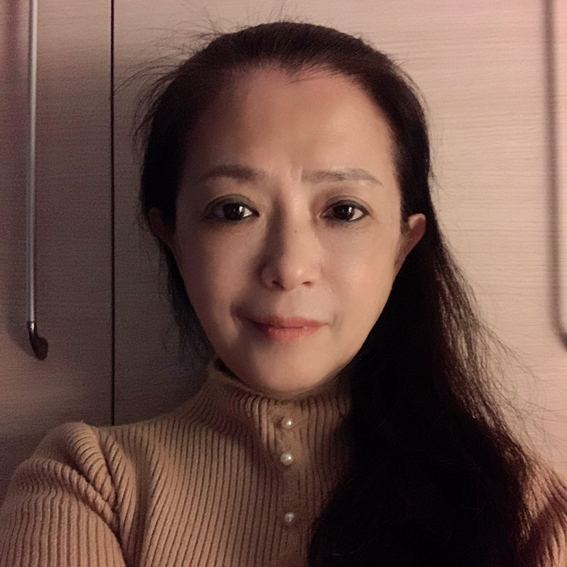 大雁独飞的照片