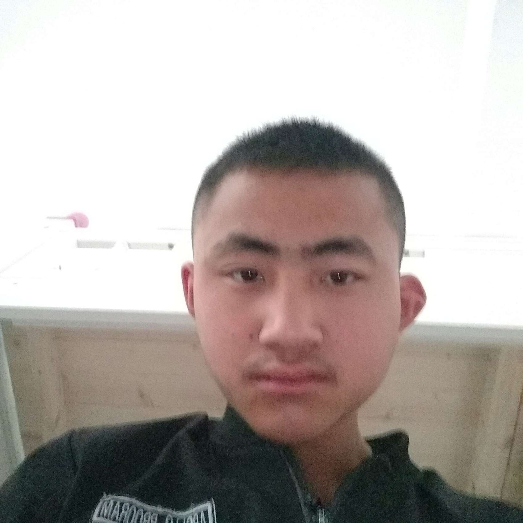 康乃馨向稳重的照片