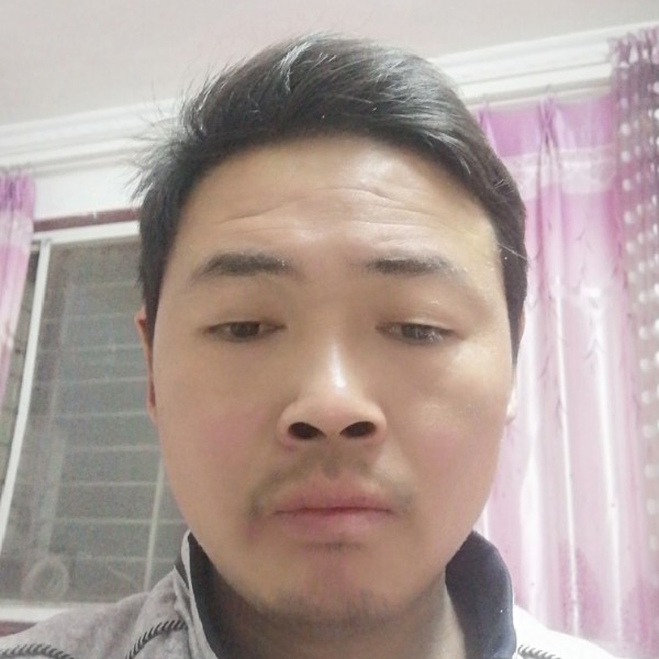 笨笨和小海豚的照片