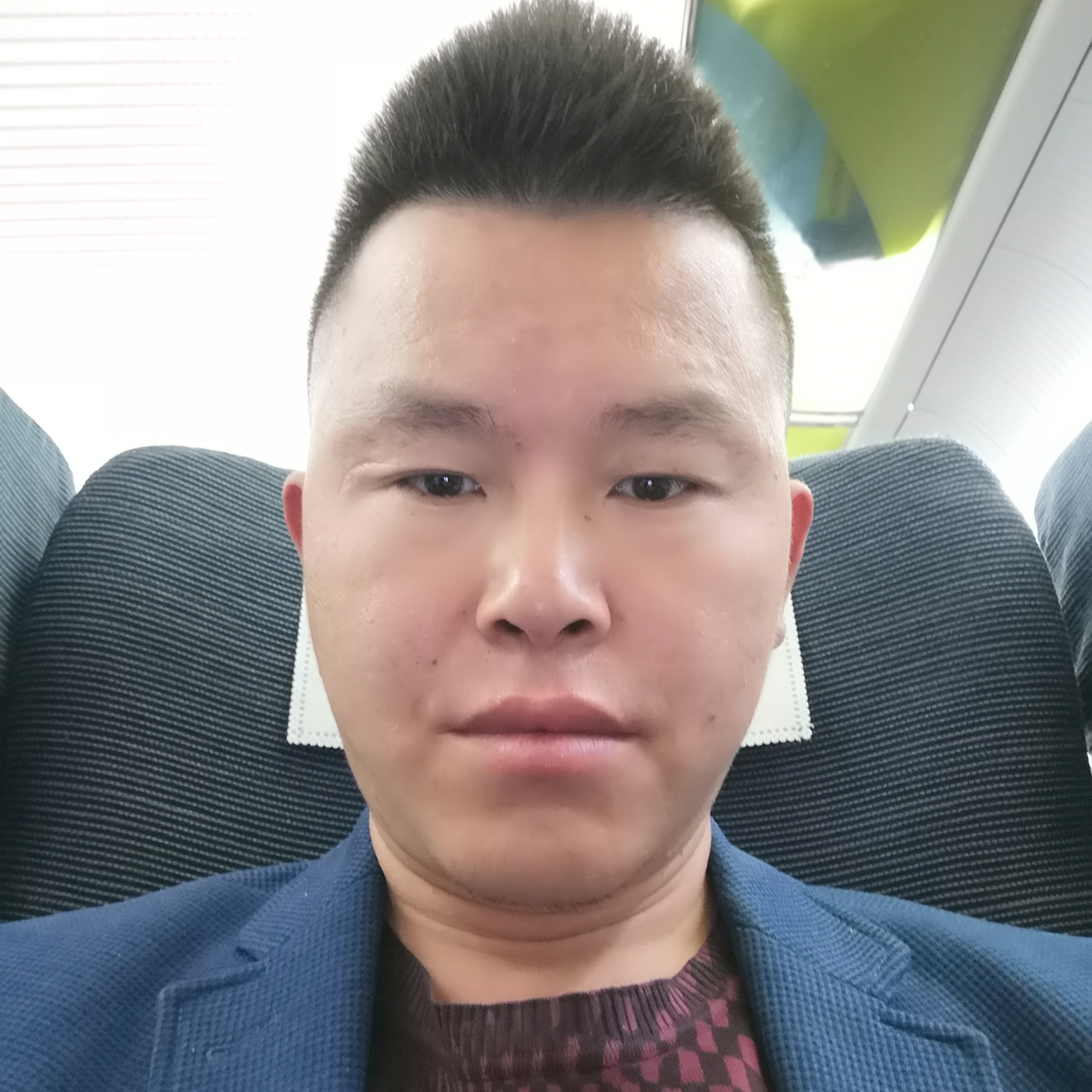 灰狼浅吻淡淡的照片