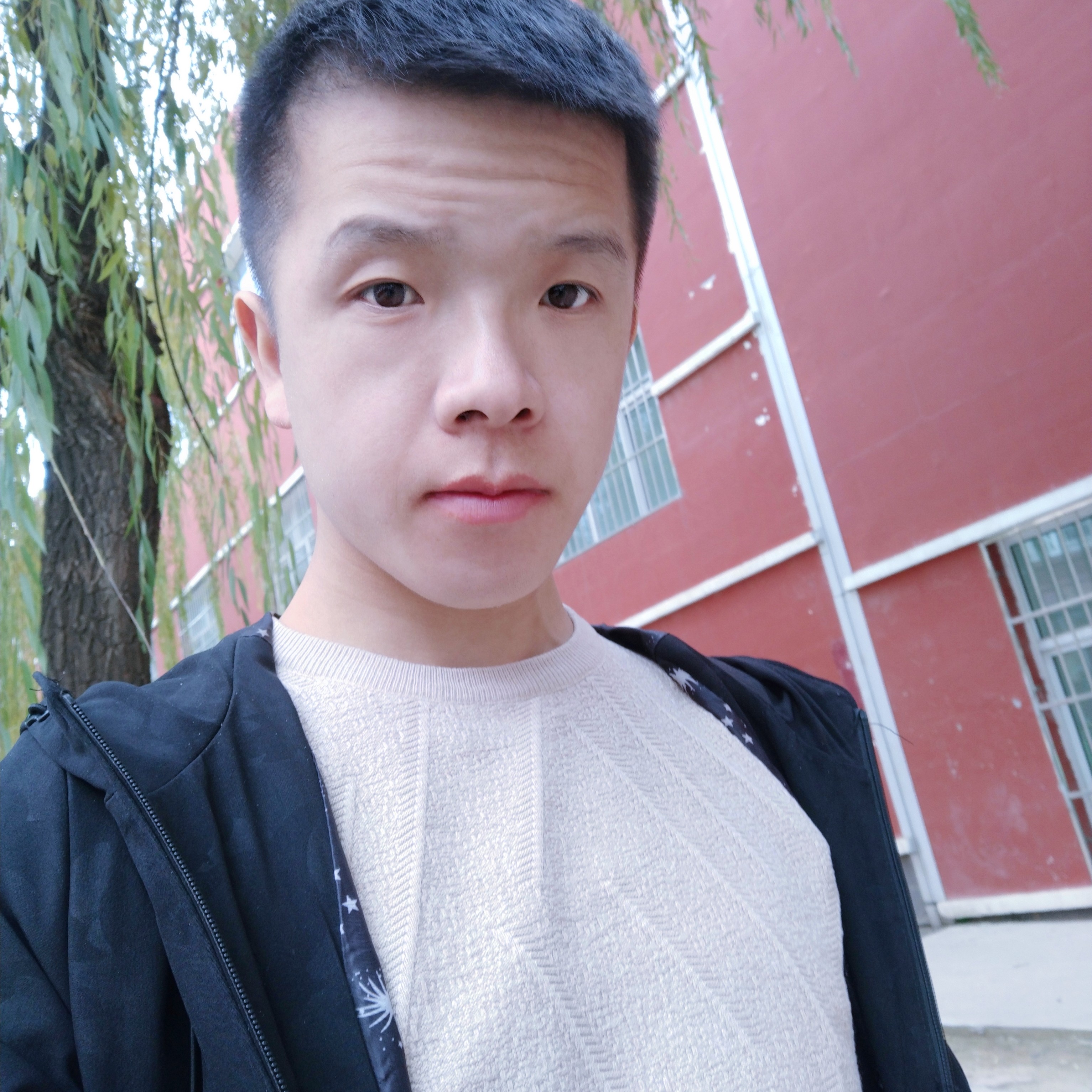 英勇回首镜子的照片