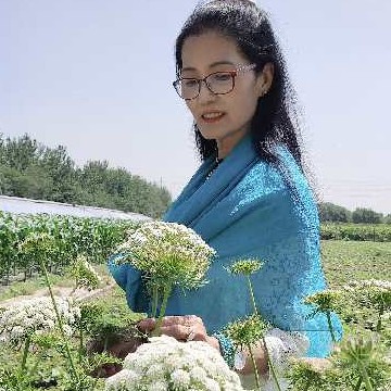 韩凤云的照片