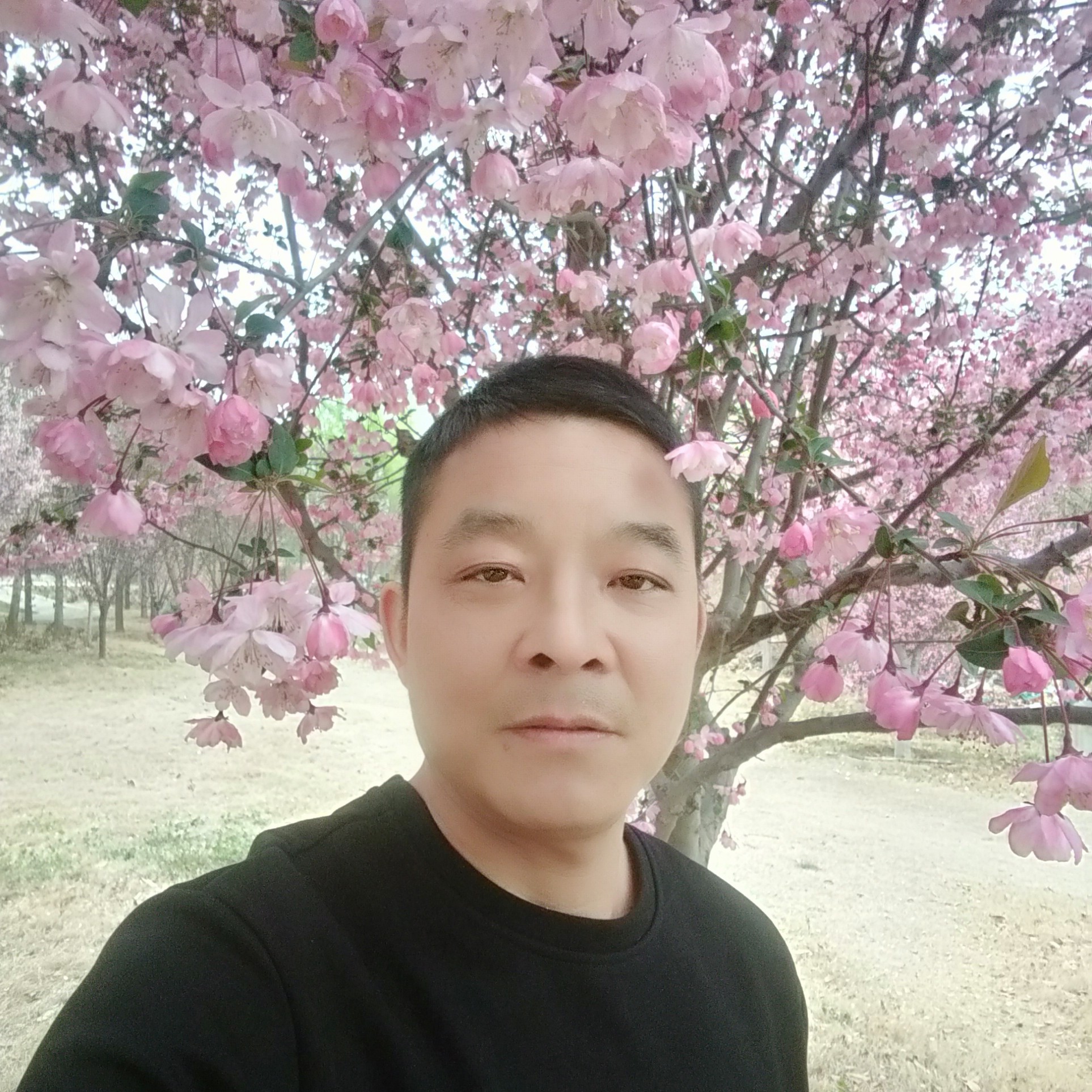 心声痴情绝对的照片