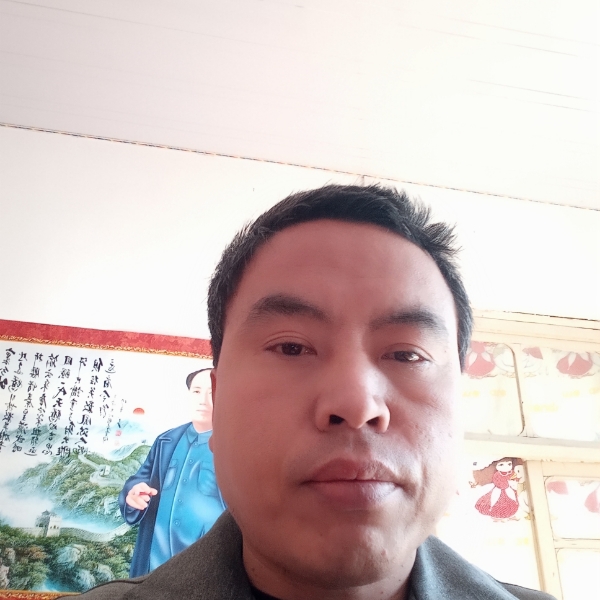 仙人掌等待成就的照片