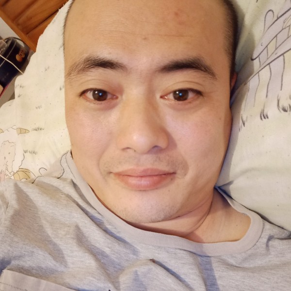 矫情给小蜜蜂的照片