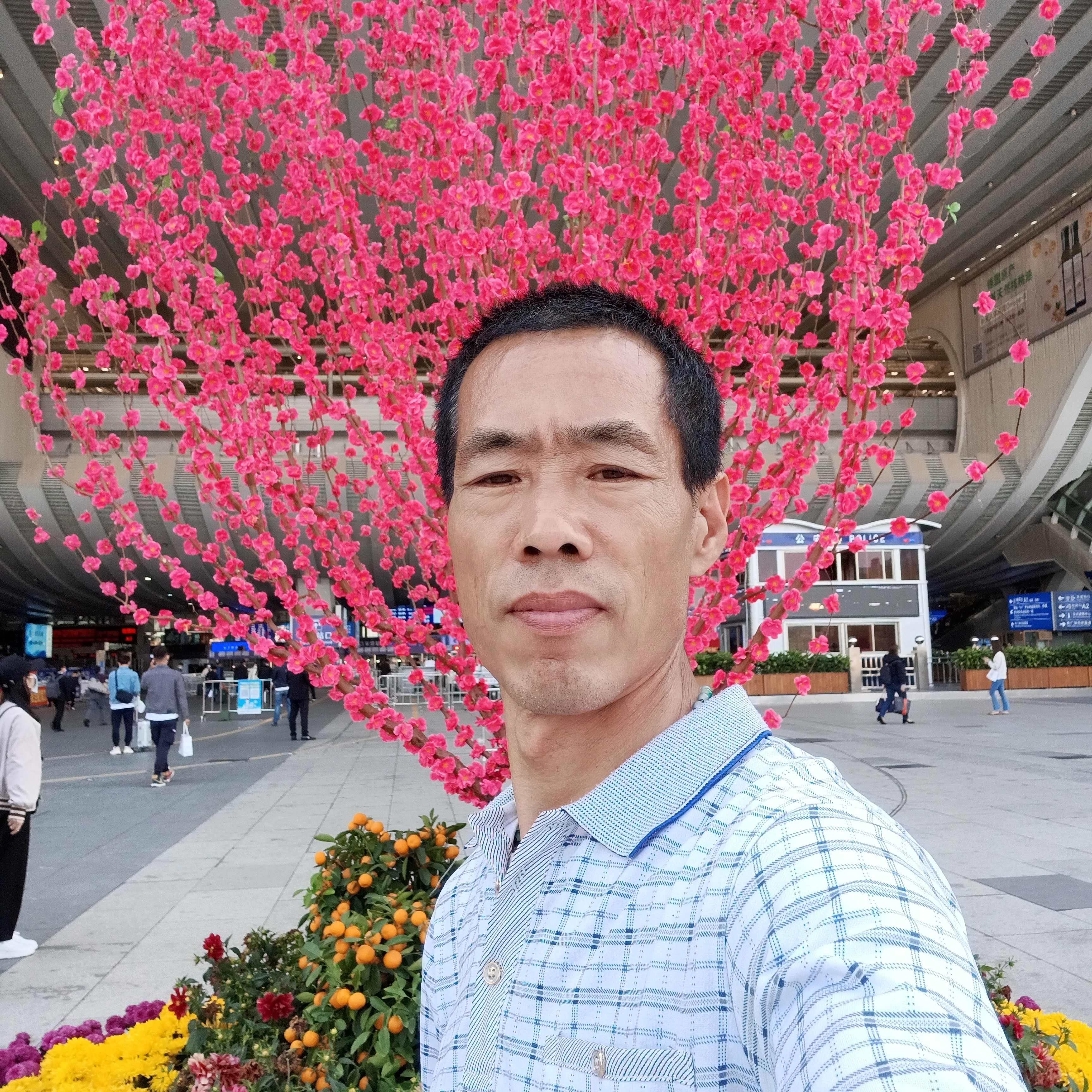 旧颜凝眸错落的照片