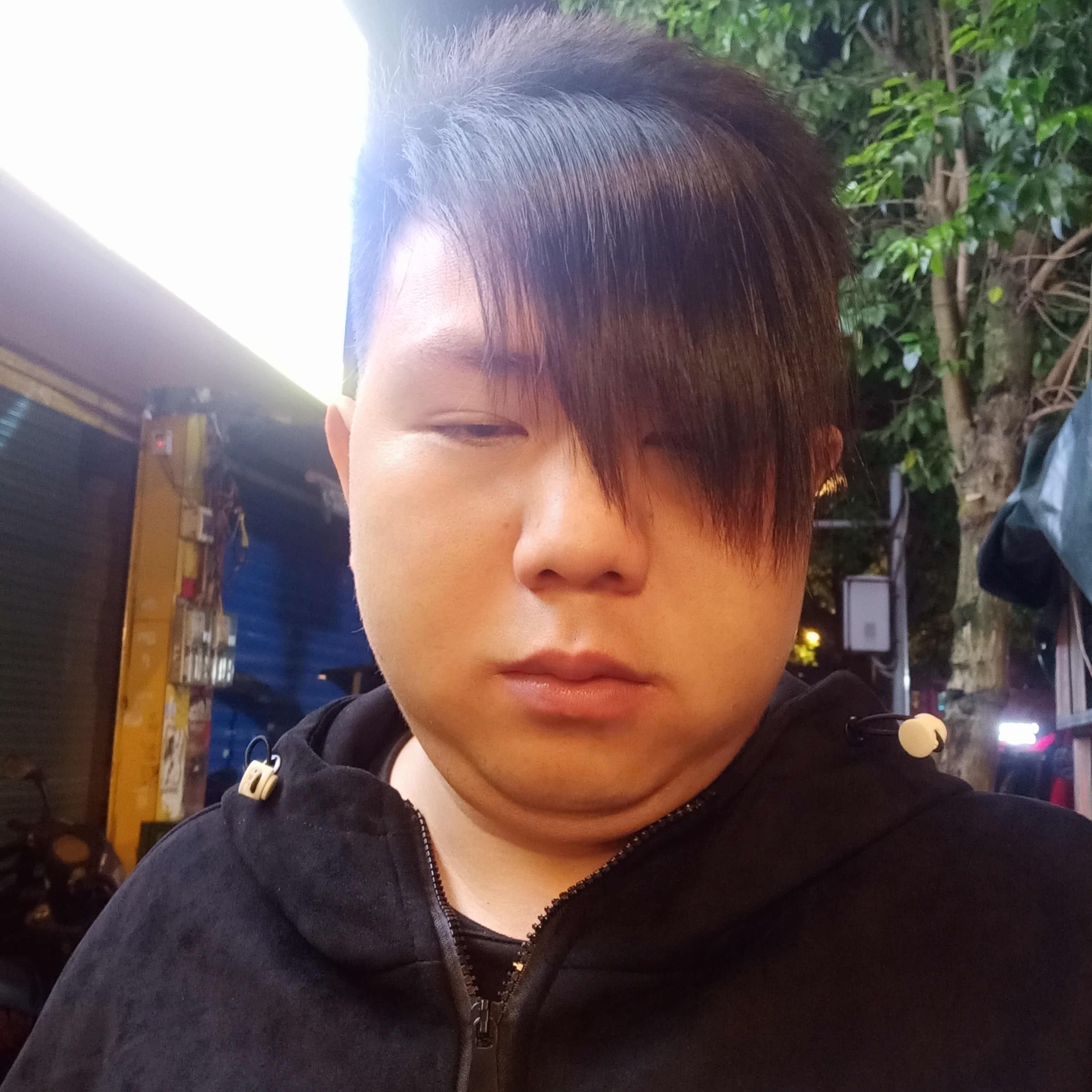 化羽蹁跹受伤的照片