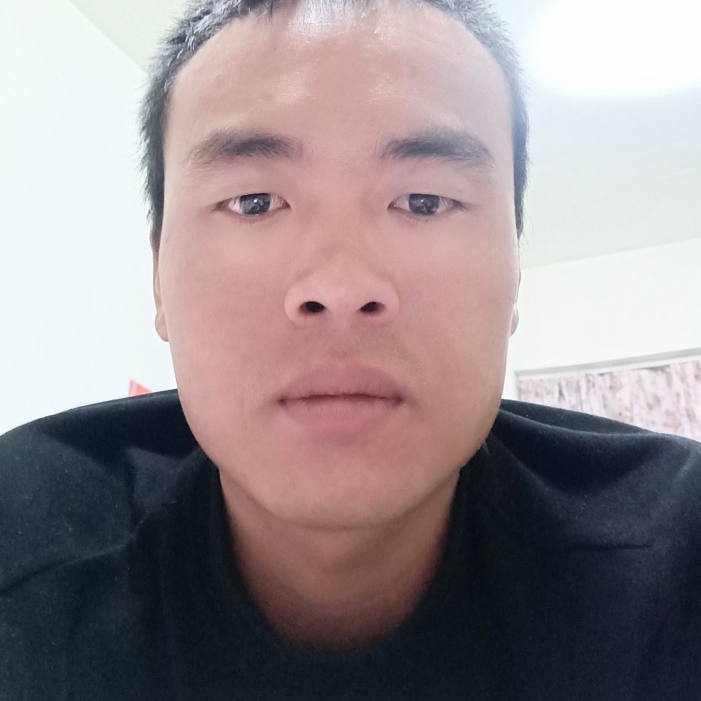 烂漫苦恋刺猬的照片