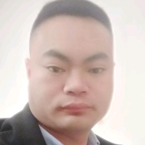 含羞草等于害怕的照片