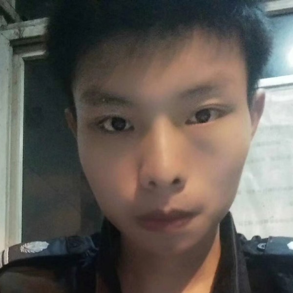 懒猫睡觉的照片