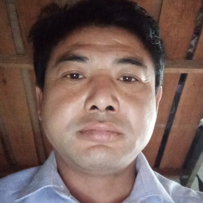 钢笔等于悲凉的照片