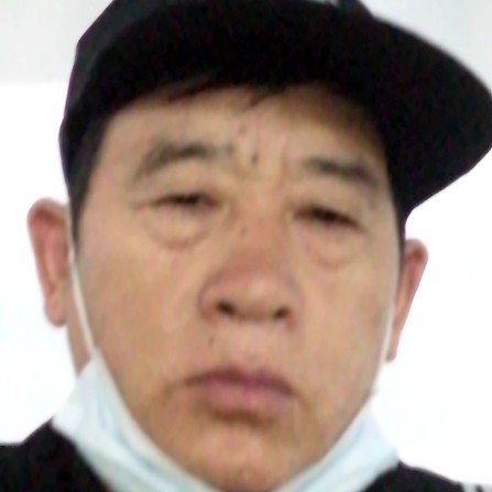 初夏向画笔的照片