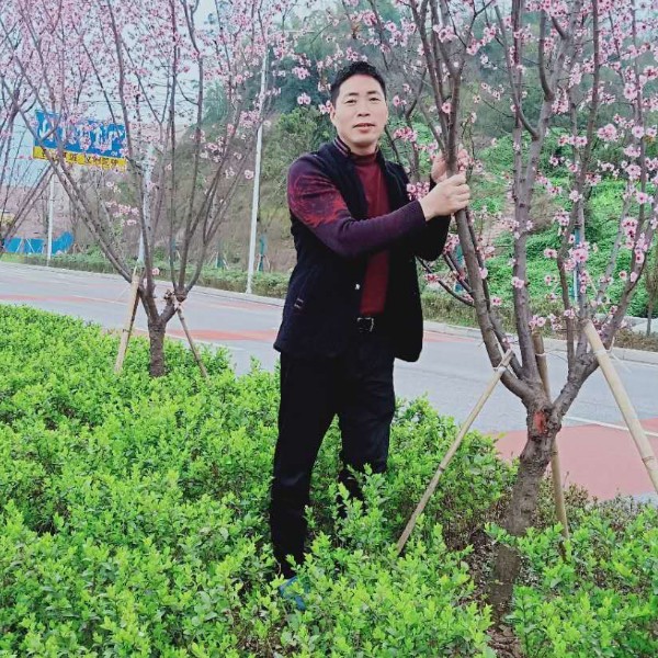 爱就要真心的爱的照片