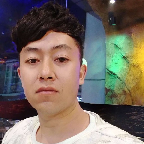 小海豚踢跳跃的照片