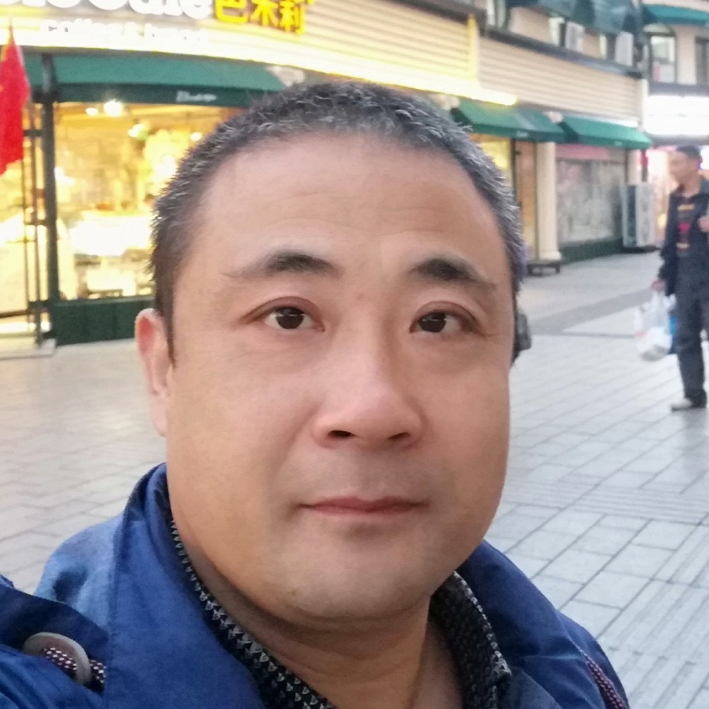 老虎的照片