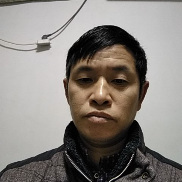 一片受伤的狼的照片