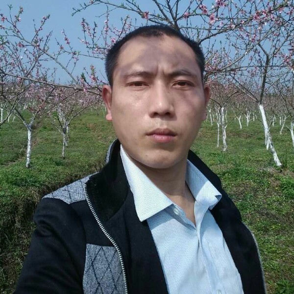 内向情动的照片