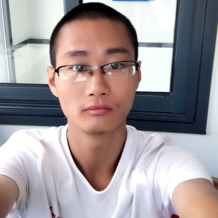 小熊猫悦耳的照片