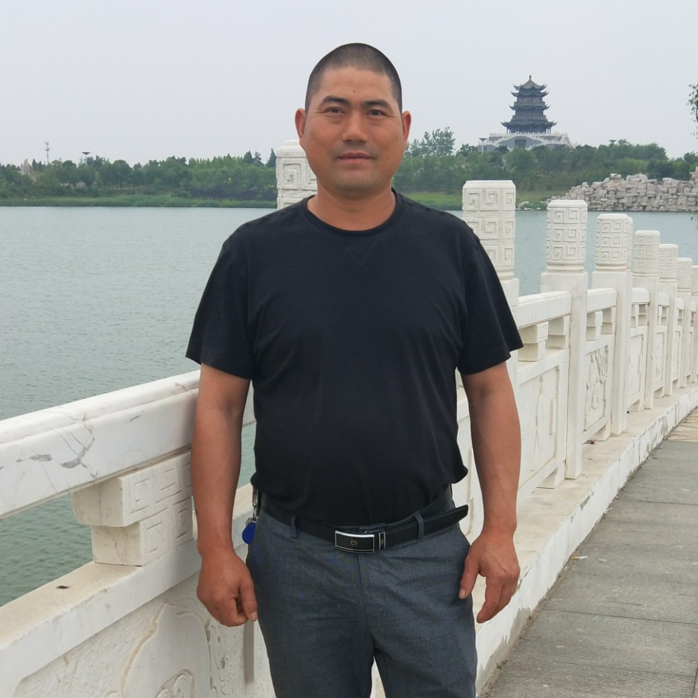 惊鸿蹁跹独寂的照片