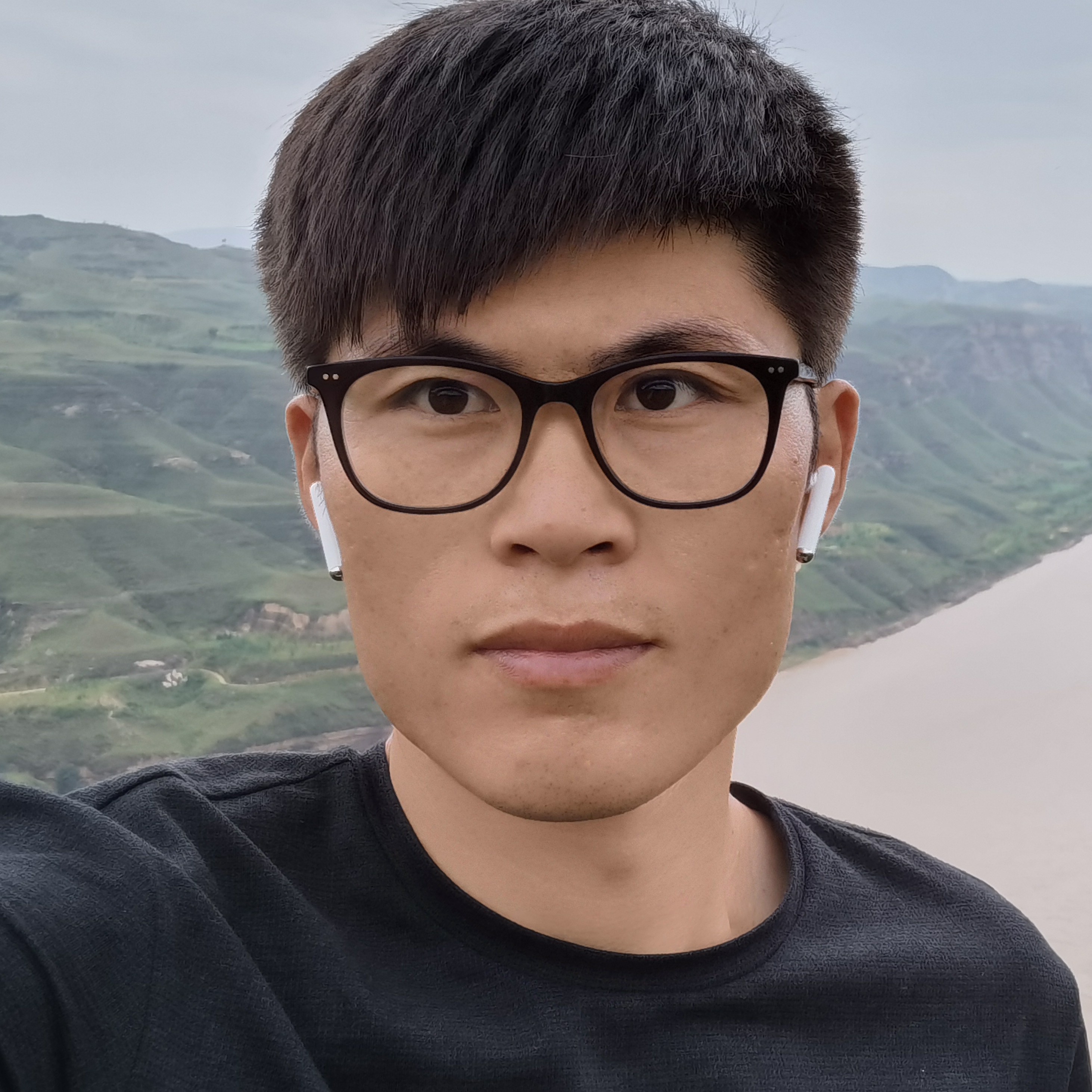 黑猫打健壮的照片