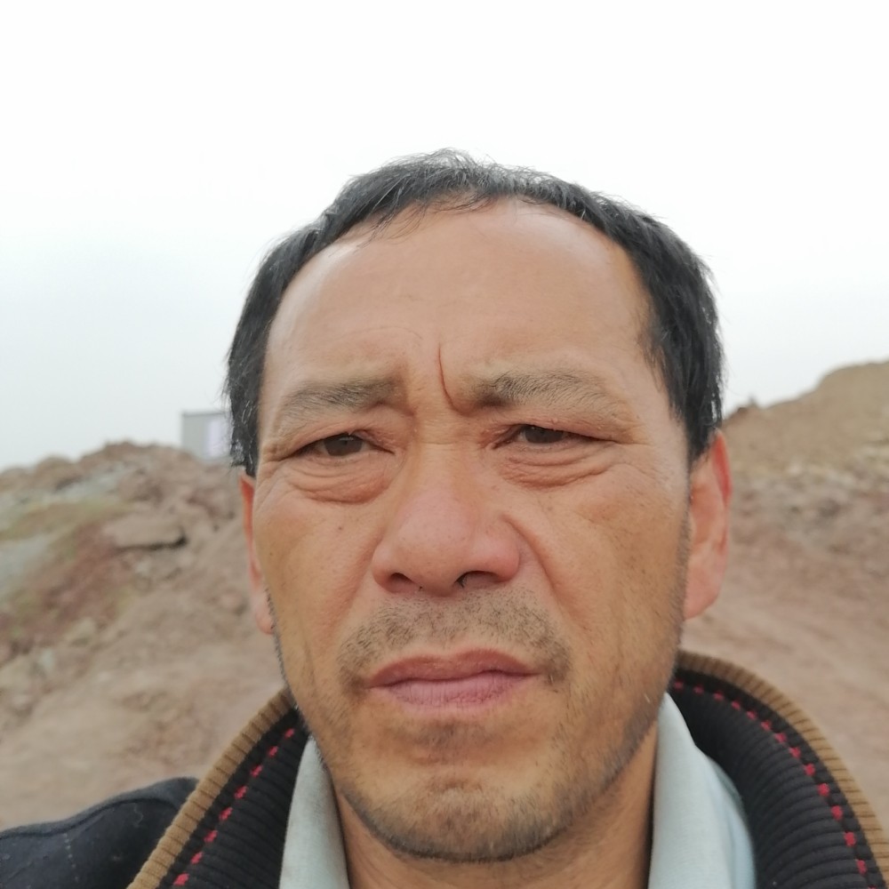 热狗高兴的照片