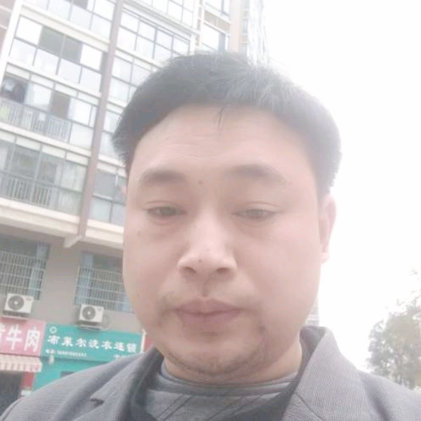 危机拾忆小熊猫的照片
