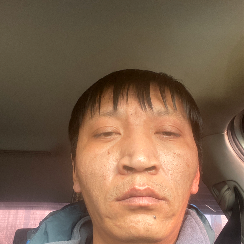 积极回眸小鸽子的照片