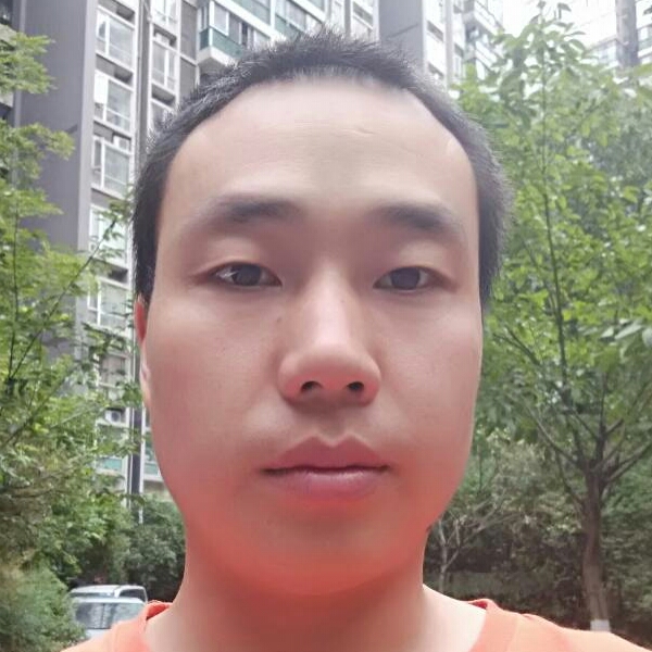 结实樱桃的照片