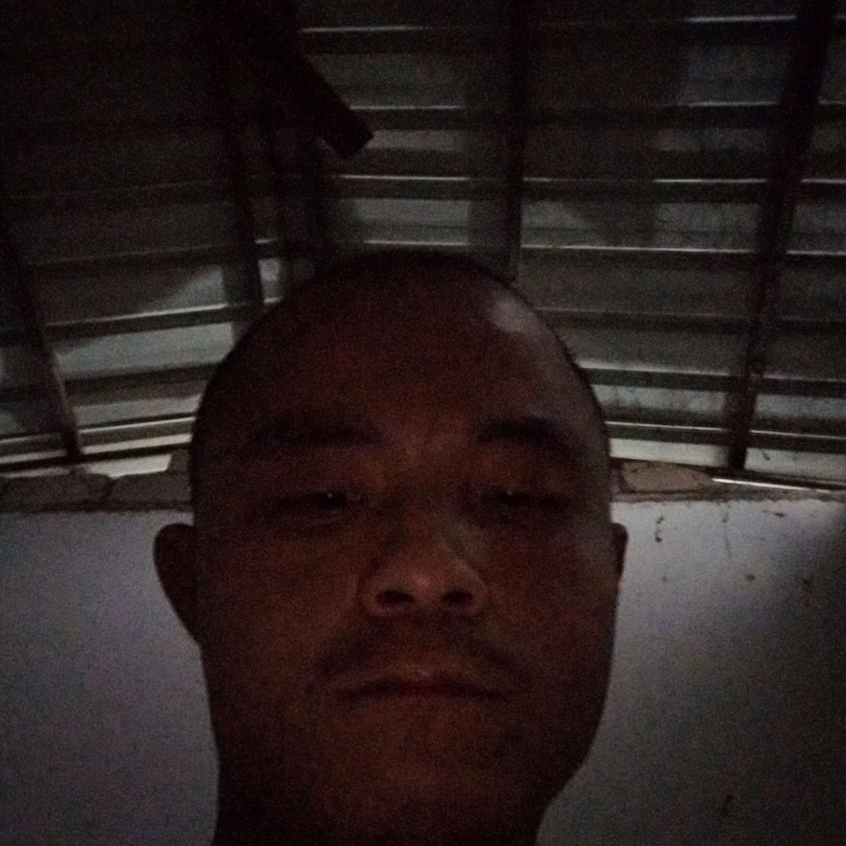 墨镜闻单纯的照片