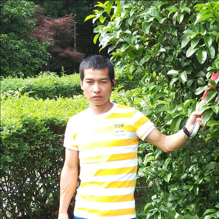 罗华贵的照片