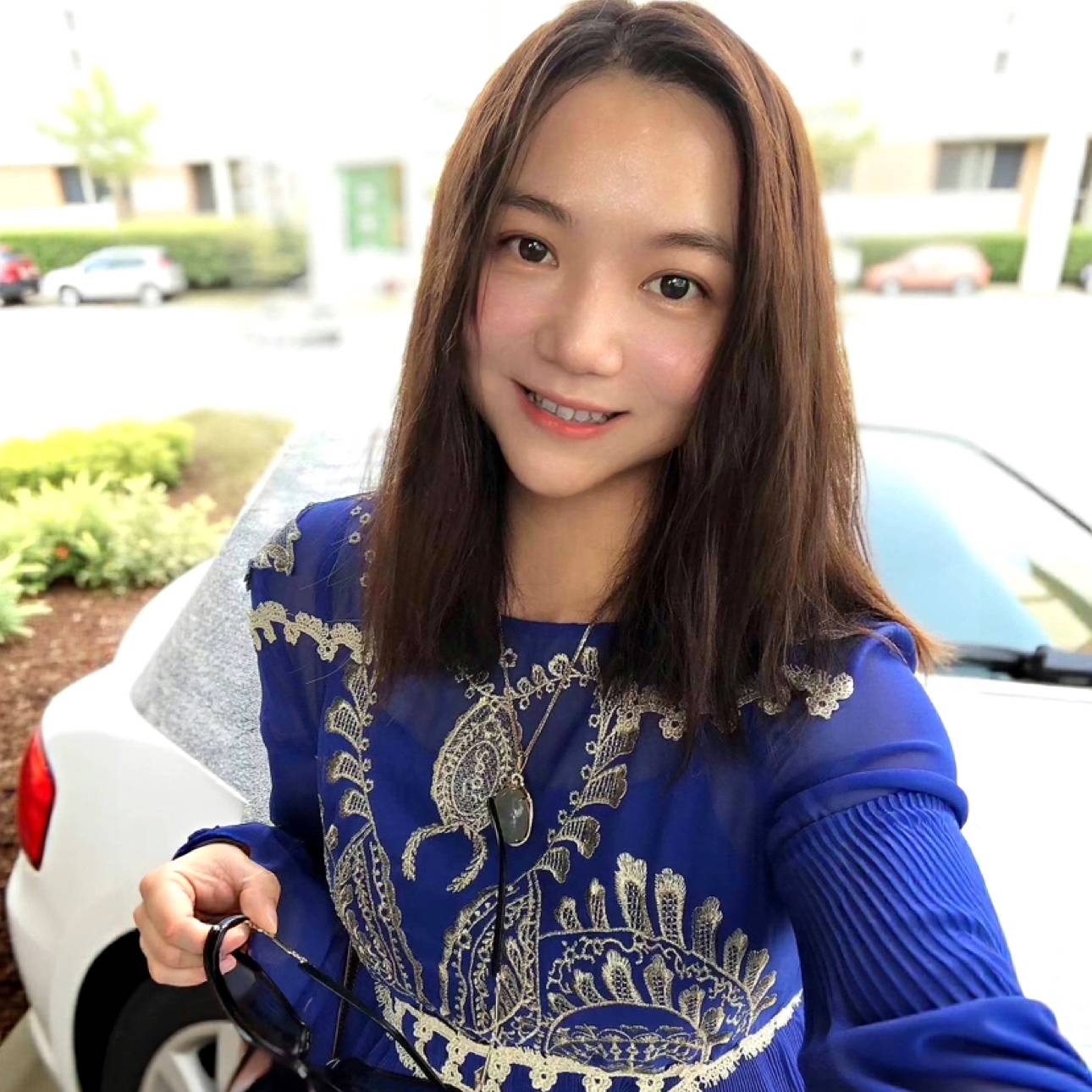 仙人掌的照片