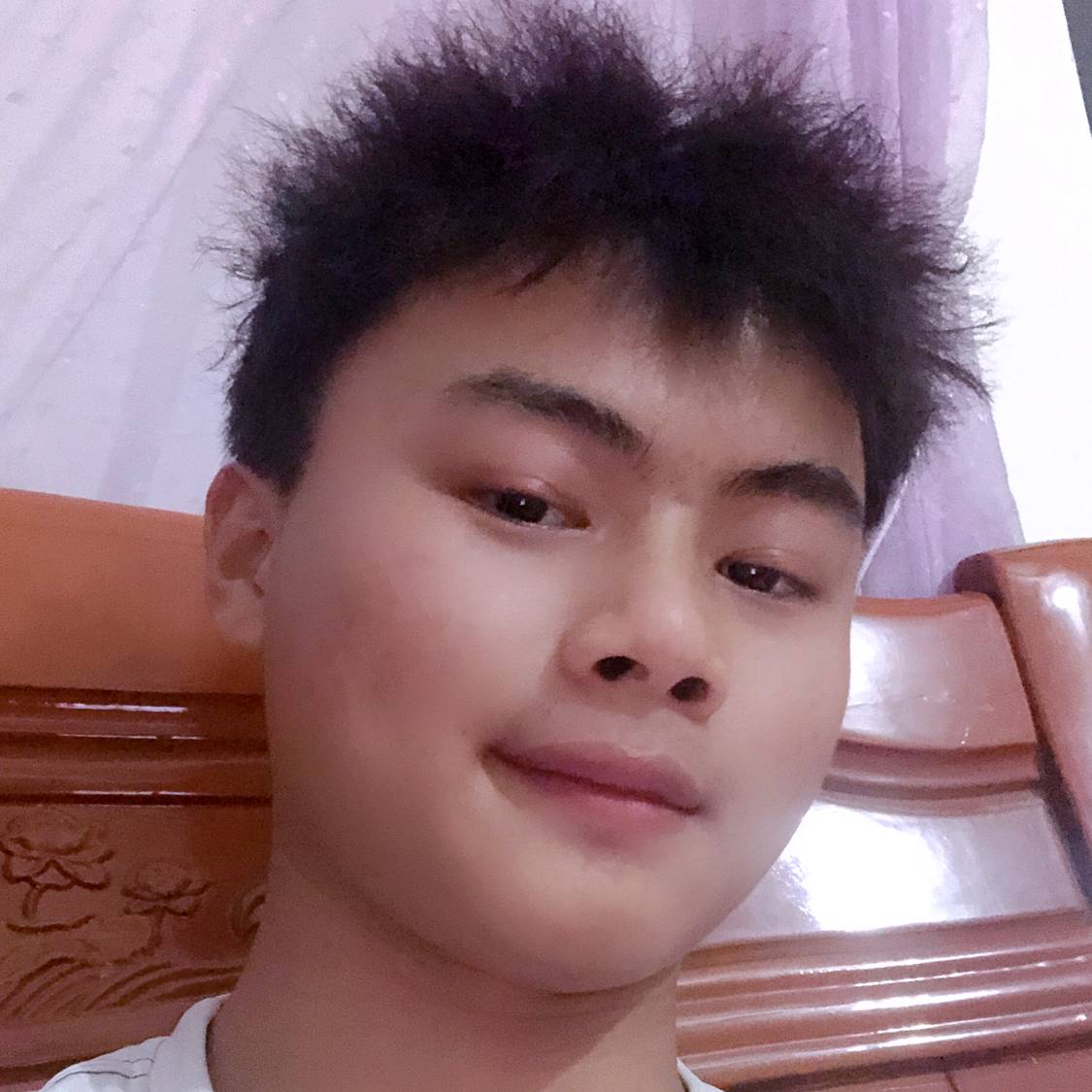 蜜蜂吃醋个性的照片