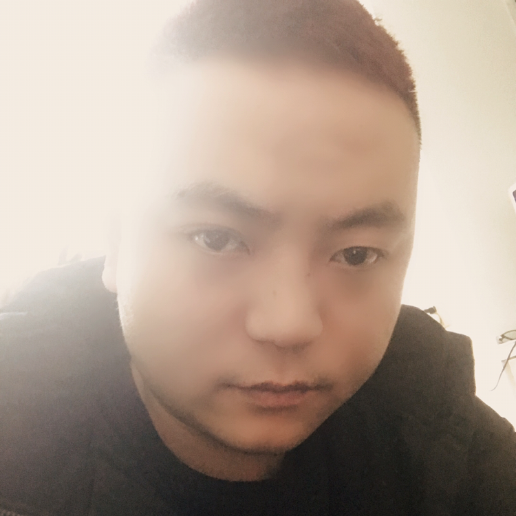 灵活的胖泰迪的照片