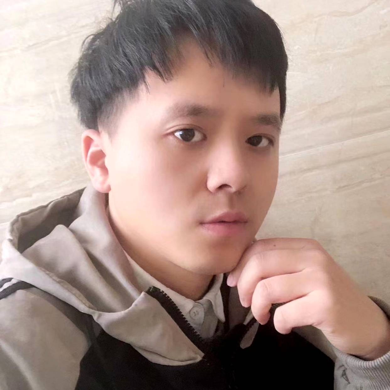 一只小乖的照片