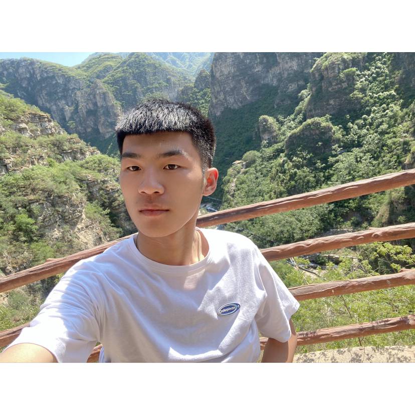 呆萌扯帽子的照片