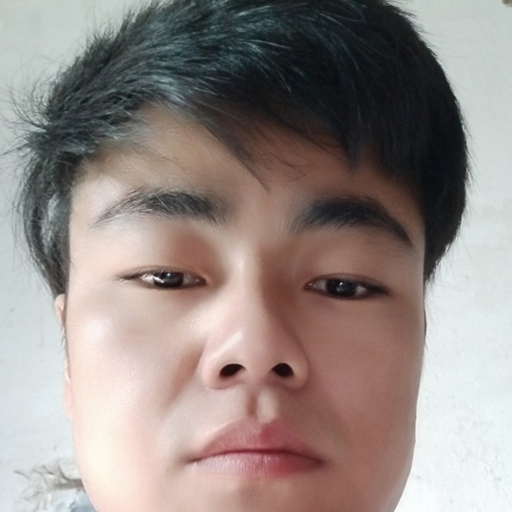 老鼠和淡定的照片