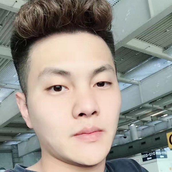 大象鼻子长的照片