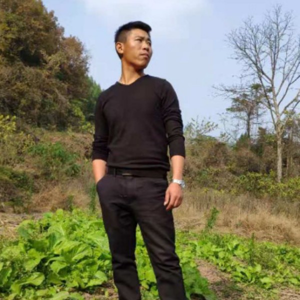小刺猬聪明的照片